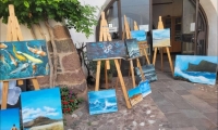 IMG-20260814-WA0013